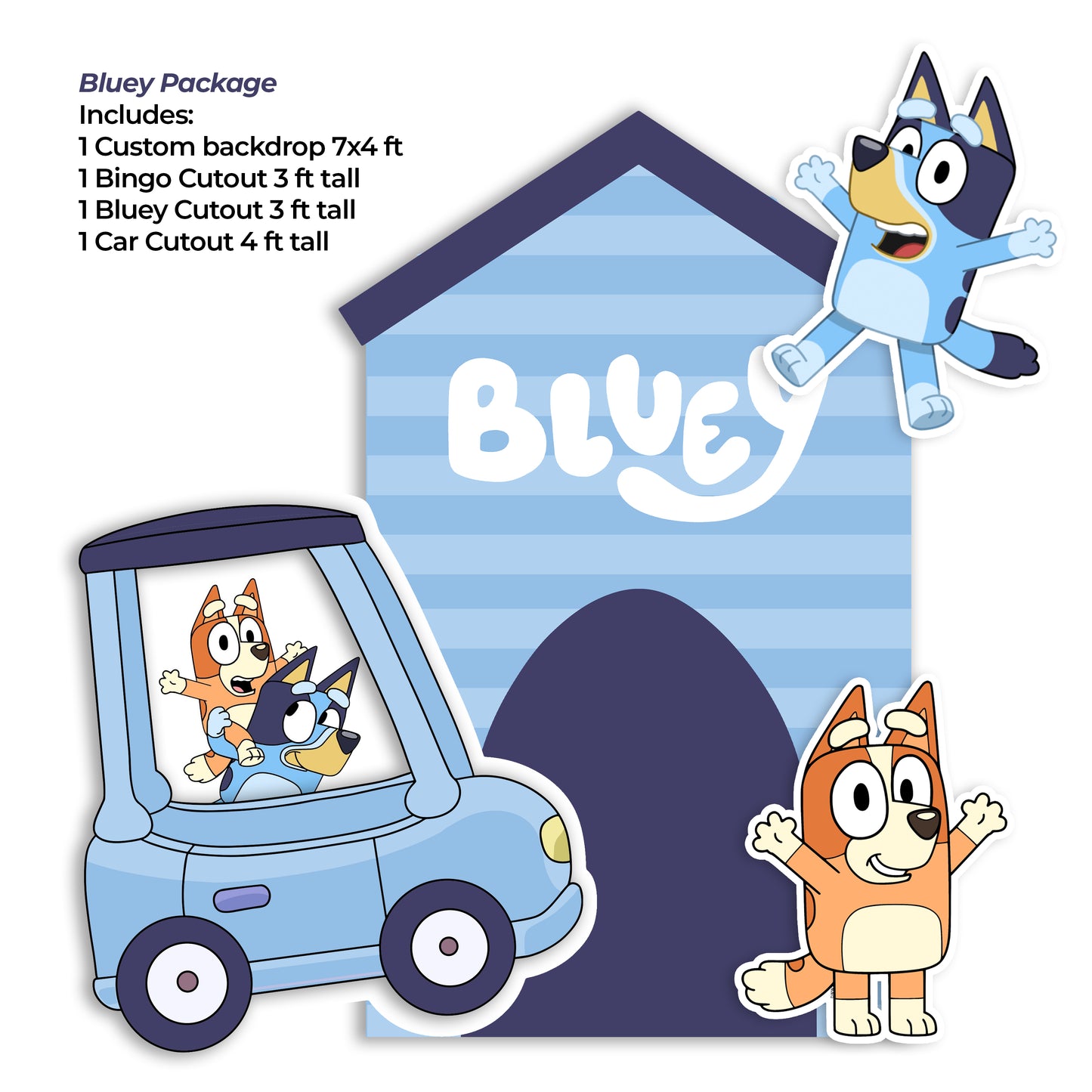 Bluey Package (Blue)