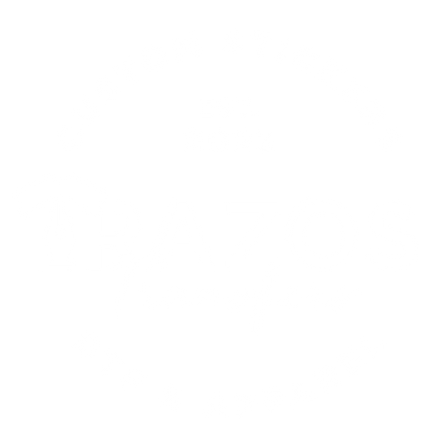 Trazos Transfers